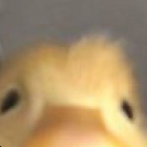 Meet your Posher, Kari